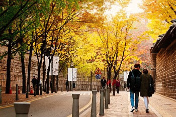 Deoksugung Doldam-gil - con đường lãng mạn nhất Seoul
