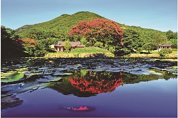 Khám Phá Jeollanam- do- Điểm Đến Thanh Bình Nhất Hàn Quốc